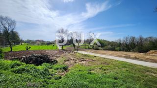 ISTRA, GRAČIŠĆE - Tri gradbene parcele v idiličnem delu Istre