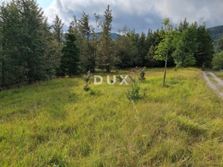 GORSKI KOTAR, STARI LAZ, veliko zemljišče za gradnjo hotela