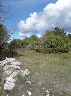 Zemljišče Juršići, Svetvinčenat, 5.935m2