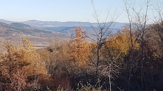 Vižinada, 5.261m2
