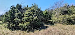 Rabac, Labin, 9.773m2