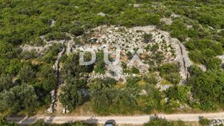 OTOK KRK, PUNAT - Mlad oljčni nasad z odprtim pogledom na morje in Košljun