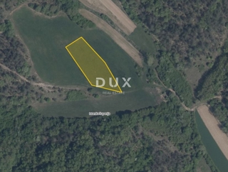 ISTRA, PAZIN, CEROVLJE – Njivnica in travnik 5.132 m²