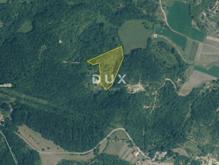 ISTRA, GRAČIŠĆE - Kmetijsko zemljišče, 9.810 m2