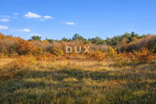 ISTRA, SAVUDRIJA - Kmetijska zemljišča v idilični okolici