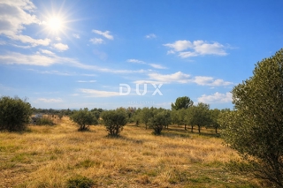 ISTRA, VODNJAN – Kmetijsko zemljišče