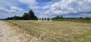 ISTRA, ŽMINJ - Gradbeno zemljišče z razgledom na naravo