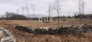 ISTRA, LINDAR - Gradbeno zemljišče obdano z naravo