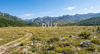 LOVINAC, SVETI ROK - PRILOŽNOST! Zemljišče v coni T1, vrhunska lokacija!