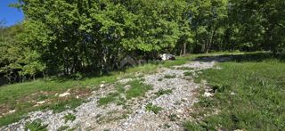 ISTRA, PIĆAN - Kompleks zemljišč z dovoljenjem na robu naselja