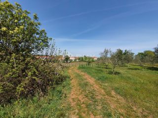 ISTRA, MARČANA - Zazidljiva parcela na robu naselja