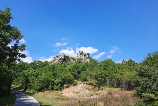 JESENOVIK, KRŠAN - vrisana ruševina hiše 130m2 s hlevom 55m2 + zemljišče 11500m2 (10000m2 kmetijskega + 1500m2 gradbenega zemljišča)