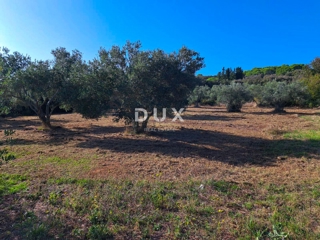 OTOK PAŠMAN, KRAJ - Pravilno gradbeno zemljišče 200 m od morja