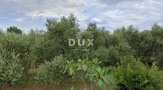 Zemljišče Brzac, Krk, 517m2