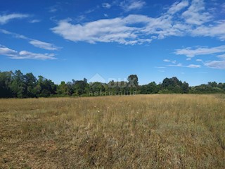 Šišan, Ližnjan, 800m2