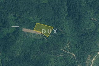 ISTRA, GRAČIŠĆE - 8.200 m² gozda, pravilne oblike, 6 minut od Gračišća