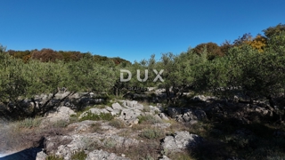 Zemljišče Krk, 8.011m2