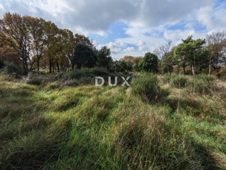 ISTRA, PULA - Prostorno kmetijsko zemljišče 11420m2!