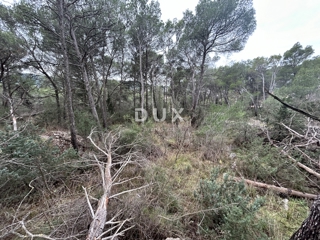 ŠIBENIK, JURASI – Gradbeno zemljišče na robu gradbenega območja