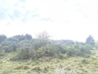 Zemljišče Premantura, Medulin, 1.010m2