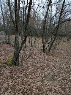 Kršan, 48.524m2