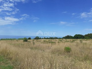 Savudrija, Umag, 11.677m2