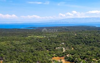 LOŠINJ, MALI LOŠINJ - Oljčni nasad 400 metrov od morja