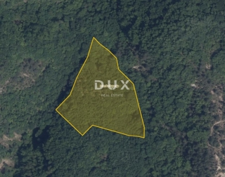 ISTRA, PAZIN, CEROVLJE – Gozd 12.020 m²