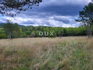 Zemljišče Oprtalj, 17.250m2