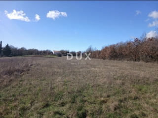 ISTRA, ŽMINJ - Investicijsko zemljišče 5.500 m² z možnostjo preureditve