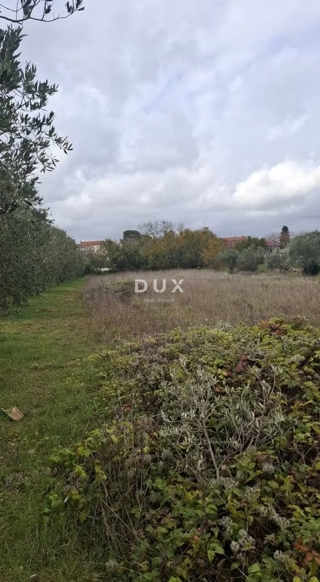 Zemljišče Vodnjan, 111.111m2