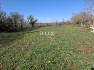 ISTRA, JURŠIĆI - Obdelovalna kmetijska zemljišča v bližini vasi