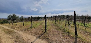 Gračišće, 50.860m2