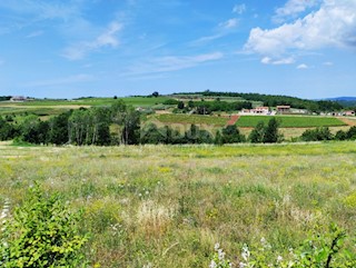 Vižinada, 755m2