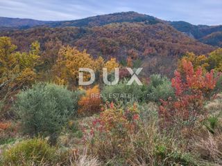 Buzet, 8.721m2