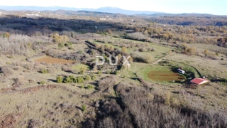 ISTRA, TRVIŽ - Odlična kmetijska priložnost