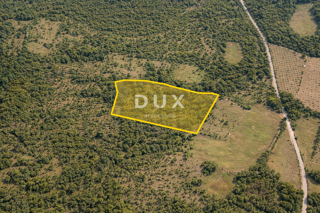 ISTRA, BALE - Kmetijska zemljišča v osrčju istrske narave