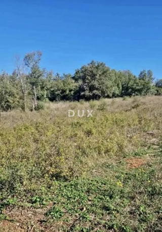 ISTRA, ROVINJ - Kmetijska zemljišča