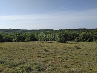 Zemljišče Sveti Ivan, Višnjan, 19.190m2