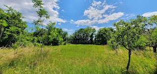 Barban, 2.241m2