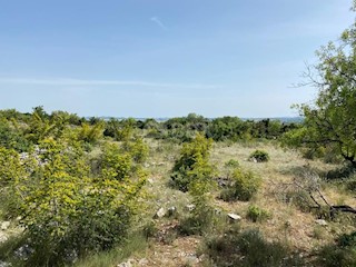 Polača, 6.150m2