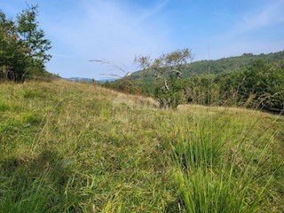 Hum, Buzet, 10.611m2