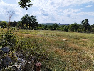 ISTRA, VIŠNJAN - Gradbeno zemljišče za gradnjo 3 vil