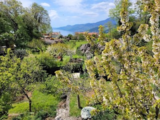 OPATIJA, MATULJI - Senzacionalna lokacija in cena za 725 €/m2