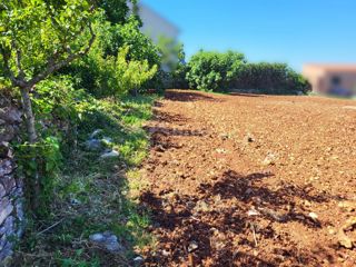 ISTRA, NOVIGRAD - Zazidljivo in kmetijsko zemljišče