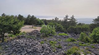 Punat, 4.139m2