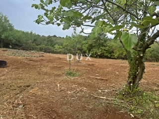 ISTRA, BARBAN - Udobno gradbeno zemljišče