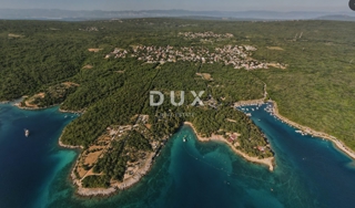 OTOK KRK, PINEZIĆI - Star oljčni nasad, dobro vzdrževan, na mirni lokaciji