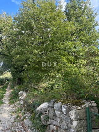 ISTRA, POREČ (BADERNA) - Zemljišče za vilo z veliko zasebnosti in zelenja! 800m2 zazidljivega zemljišča in 7034m2 kmetijskega zemljišča!