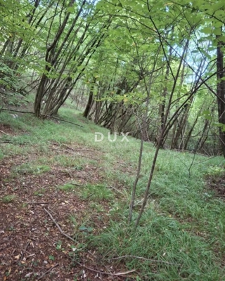 RIJEKA, VIŠKOVO - Kmetijsko zemljišče